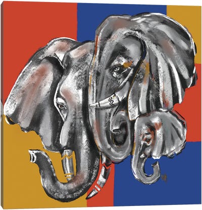 Closed Knot Canvas Art Print - Elephant Art