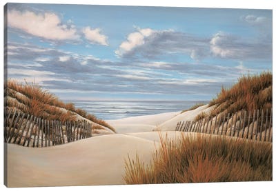 To the Shore II Canvas Art Print