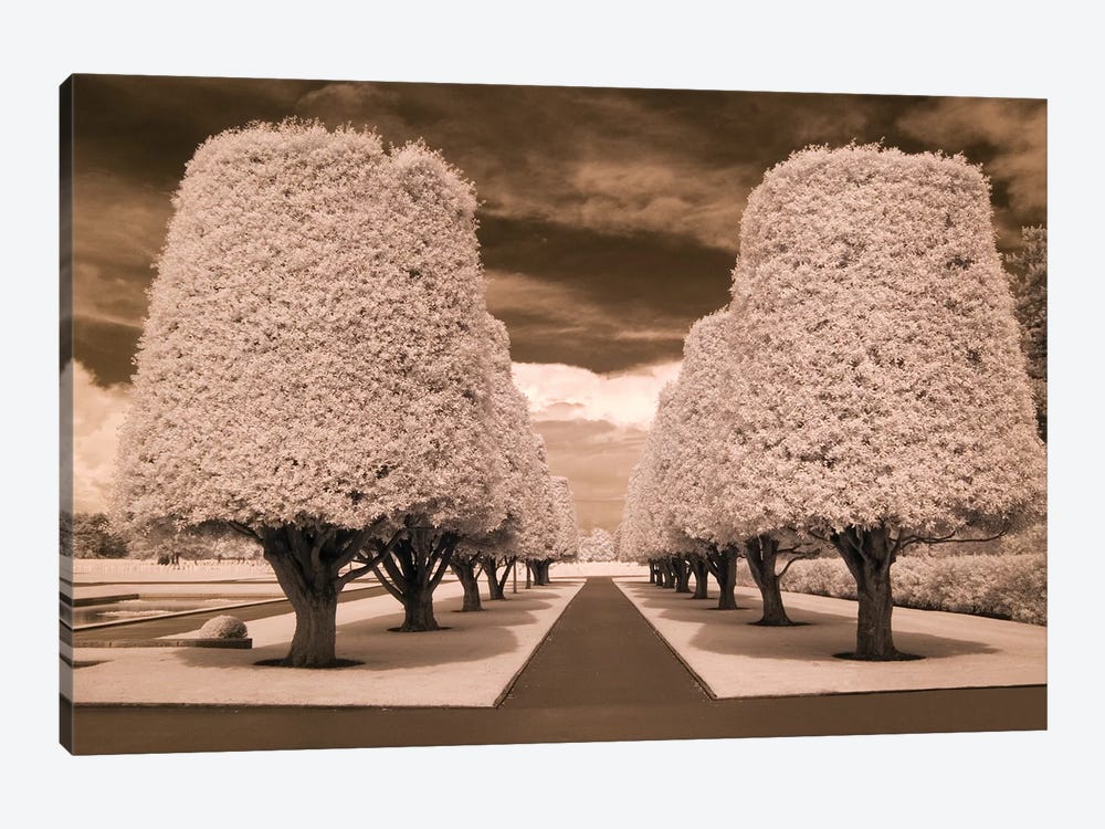 Row Of Trees by Rig Studios 1-piece Art Print