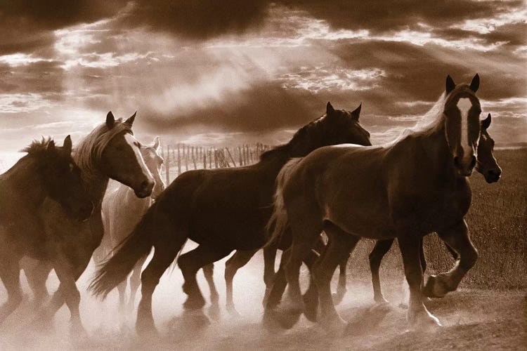 Running Horses by Rig Studios wall art