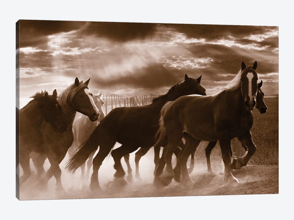 Running Horses by Rig Studios 1-piece Canvas Artwork