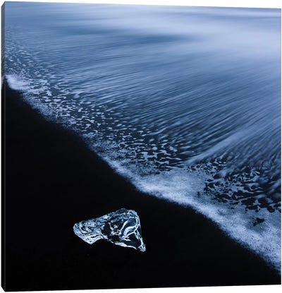 Ocean Gift Canvas Art Print