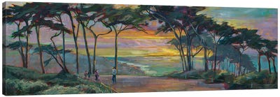 San Francisco Cypress Canvas Art Print - Marie Massey