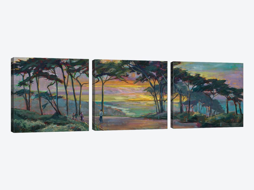 San Francisco Cypress by Marie Massey 3-piece Canvas Artwork