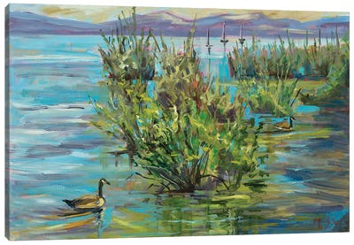 Lake Willows Canvas Art Print - Marie Massey