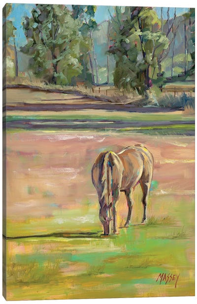 Out To Pasture Canvas Art Print - Marie Massey
