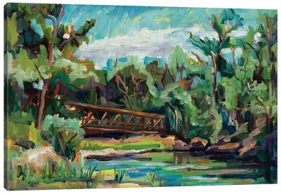 Poudre River Passage Canvas Art Print - Marie Massey