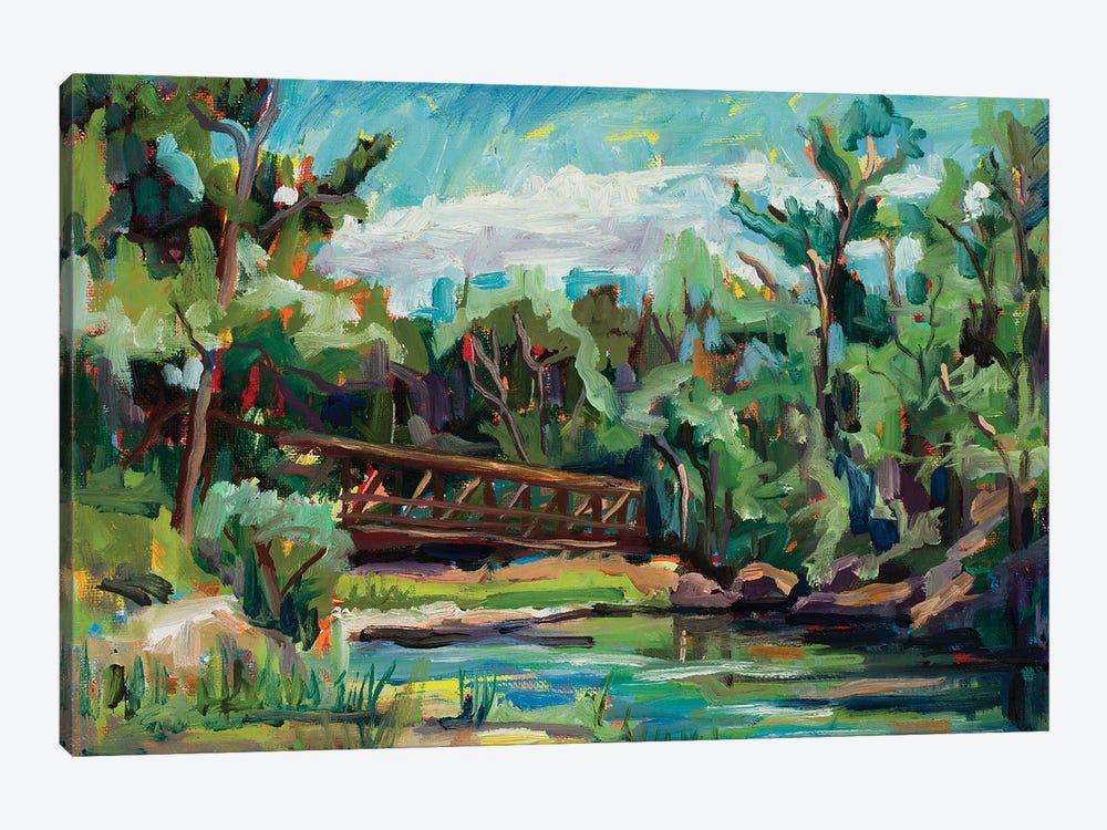 Poudre River Passage by Marie Massey 1-piece Canvas Art