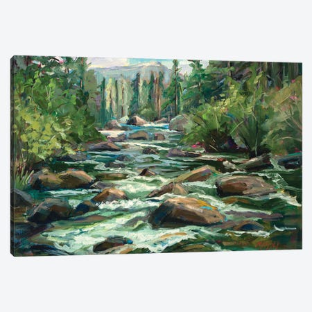 River Song Canvas Print #RIM48} by Marie Massey Canvas Wall Art