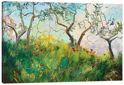 Spring'S Embrace Canvas Art Print - Marie Massey