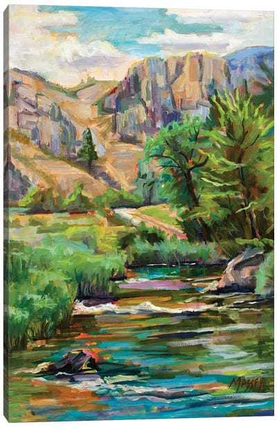 Swallowtail River Canyon Canvas Art Print - Cliff Art