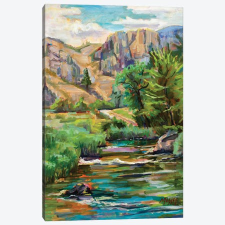 Swallowtail River Canyon Canvas Print #RIM53} by Marie Massey Art Print