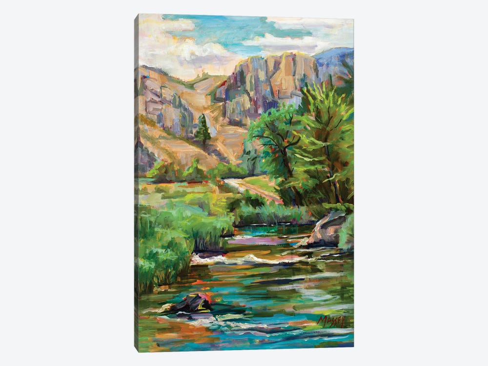 Swallowtail River Canyon by Marie Massey 1-piece Canvas Print
