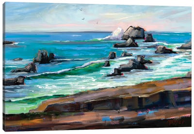 Wild Coast California Canvas Art Print - Marie Massey