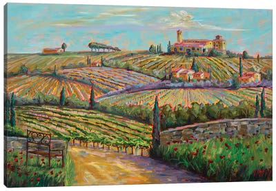 Tuscan Vines Canvas Art Print - Vineyard Art