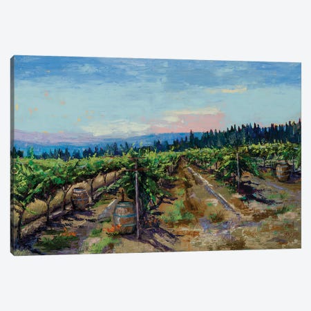 Mountain Vineyard Canvas Print #RIM82} by Marie Massey Canvas Wall Art