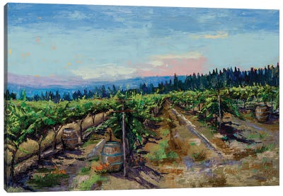 Mountain Vineyard Canvas Art Print - Vineyard Art