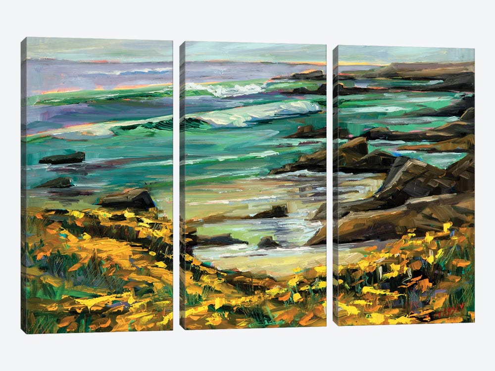 Pacific Summer by Marie Massey 3-piece Canvas Wall Art
