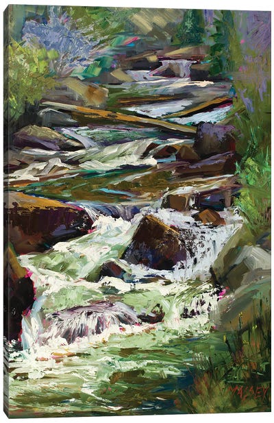 Rocky Mountain Cascade Canvas Art Print