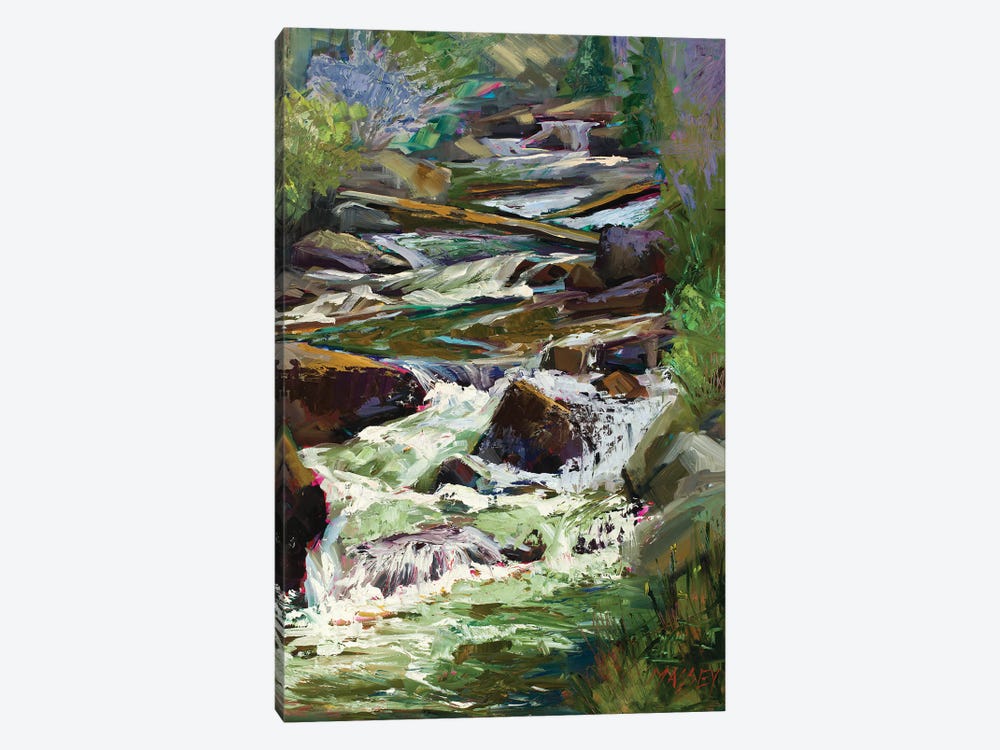 Rocky Mountain Cascade by Marie Massey 1-piece Canvas Print