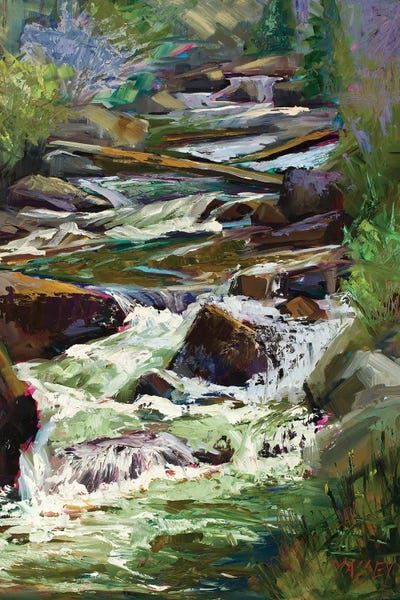 Rocks: Rocky Mountain Cascade by Marie Massey