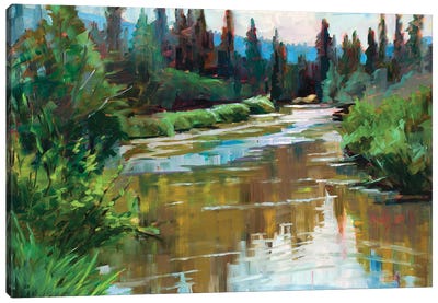 River Rhapsody Canvas Art Print