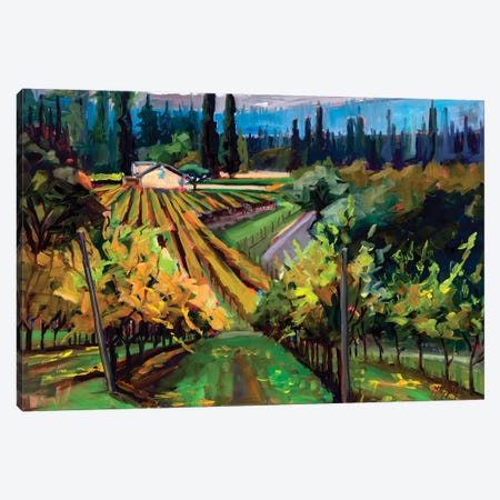 Autumn Vineyard Canvas Print #RIM99} by Marie Massey Art Print