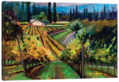 Autumn Vineyard Canvas Art Print - Vineyard Art