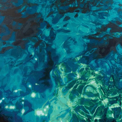 Capri Sea by Marco Barberio framed wall art