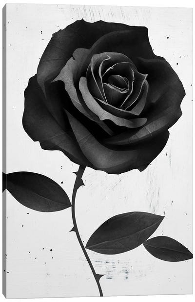 Fabirc Rose Canvas Art Print - Black & White Graphics & Illustrations