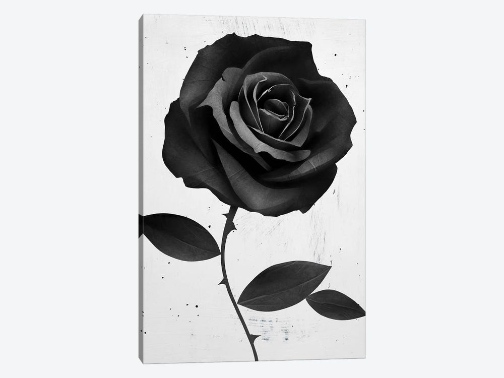 Fabirc Rose by Ruben Ireland 1-piece Canvas Art