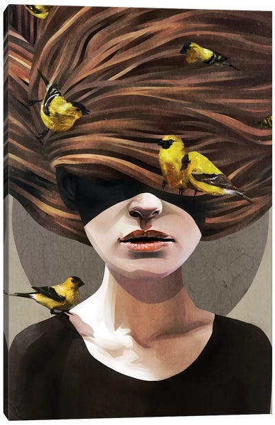 Girl With Finches Canvas Art Print - Modern Portraiture