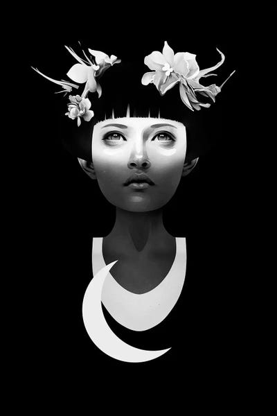 Black & White Florals: Hyperdusk by Ruben Ireland