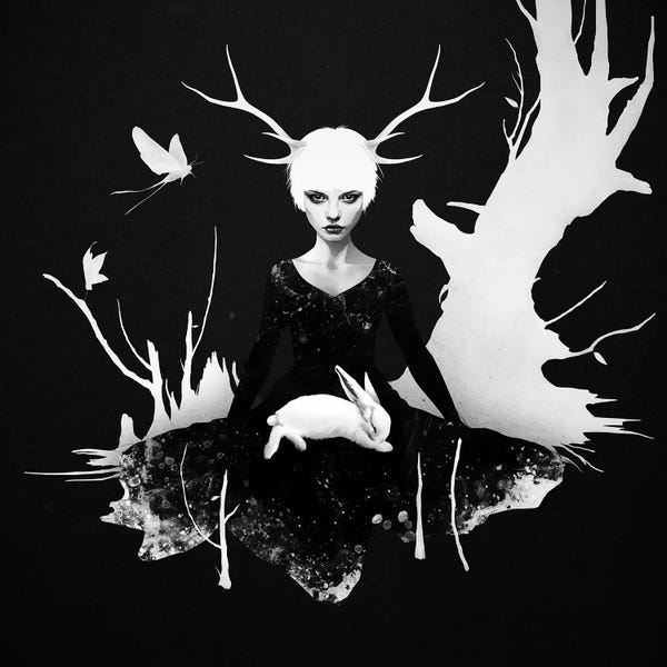 Black & White Florals: Space Within by Ruben Ireland