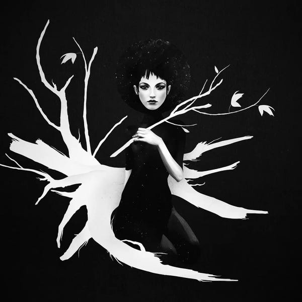 Black & White Florals: Still Light by Ruben Ireland