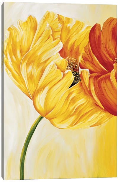 Dancing Tulips I Canvas Art Print