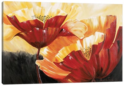 The Three Poppies Canvas Art Print