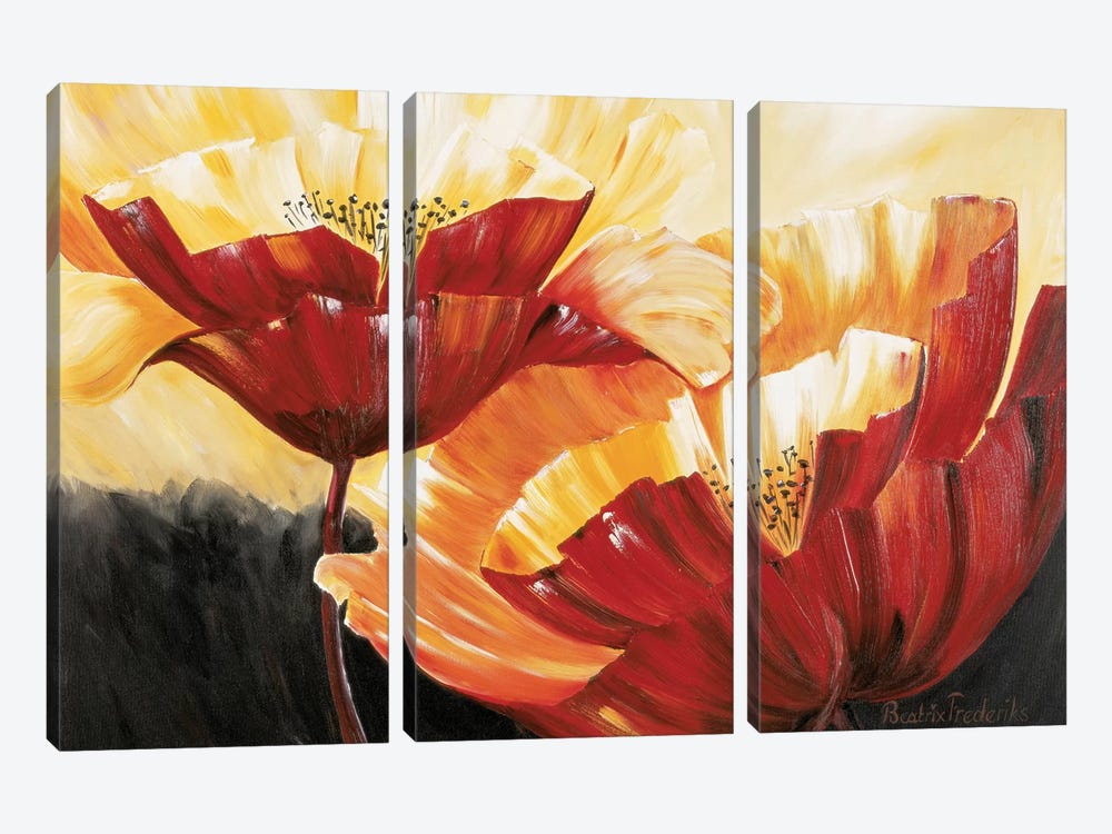 The Three Poppies by Beatrix Frederiks 3-piece Art Print
