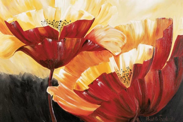 Floral Close-Ups: The Three Poppies by Beatrix Frederiks