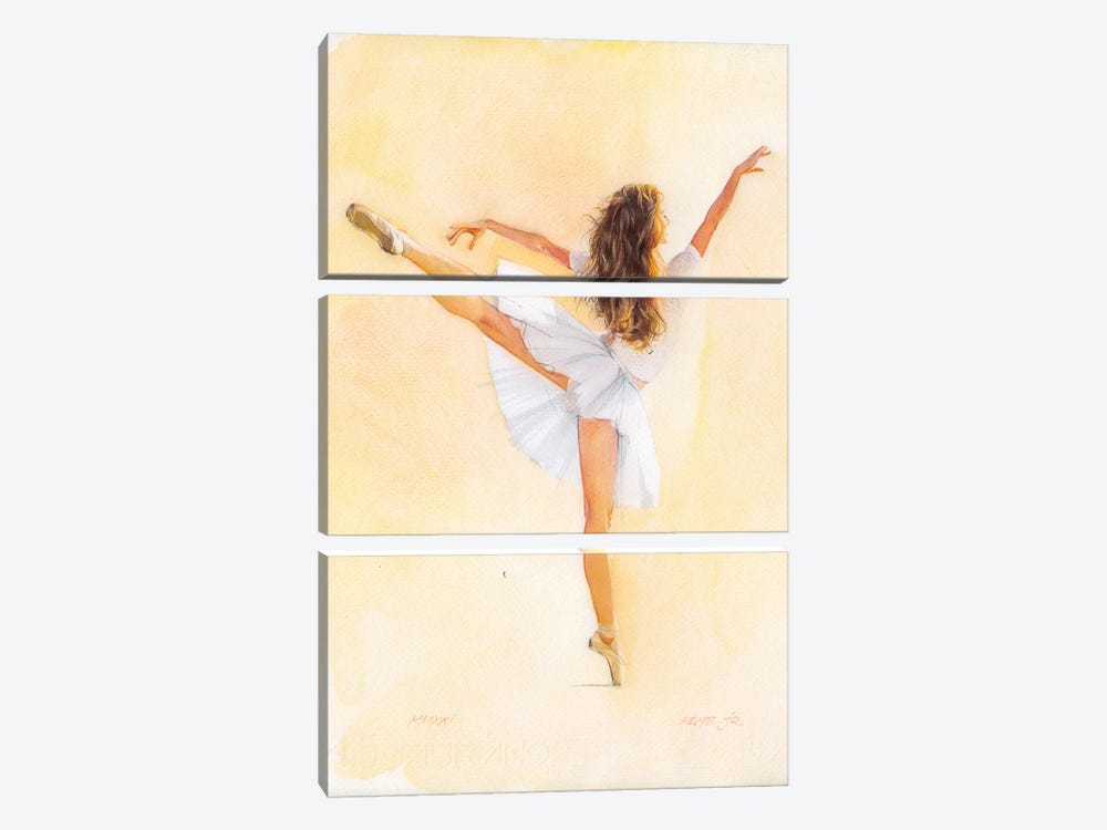 Ballet Dancer CXXIX by REME Jr 3-piece Canvas Artwork