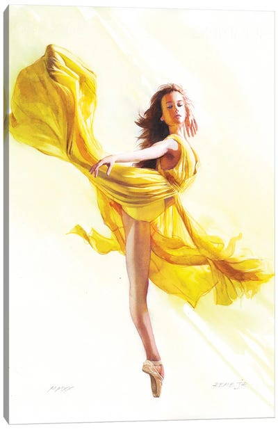 Ballet Dancer LXXV Canvas Art Print - REME Jr