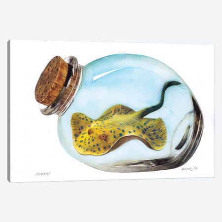 Bluespotted Ribbontail Ray In Jar Canvas Print #RJR13} by REME Jr Canvas Wall Art