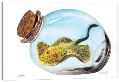 Bluespotted Ribbontail Ray In Jar Canvas Art Print - REME Jr