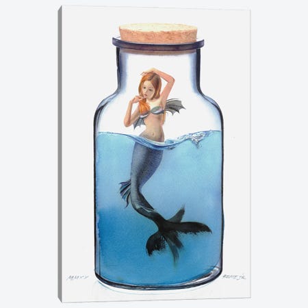 Mermaid In Jar V Canvas Print #RJR15} by REME Jr Art Print