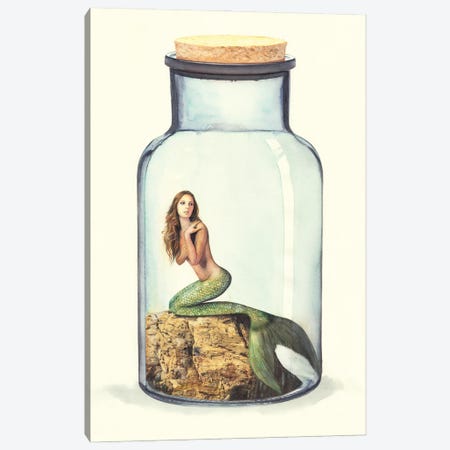 Mermaid In Jar II Canvas Print #RJR20} by REME Jr Canvas Print