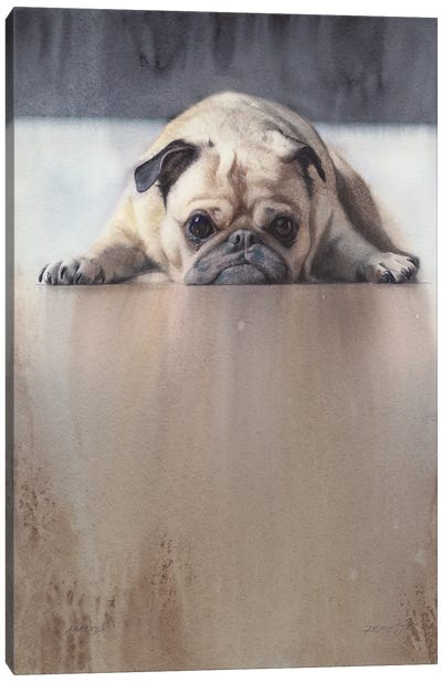 Mops Canvas Art Print - Pug Art