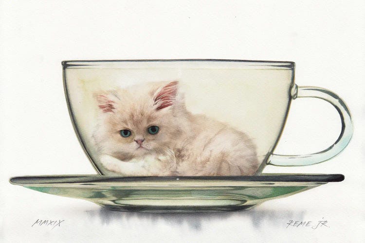 Kitten In Glass