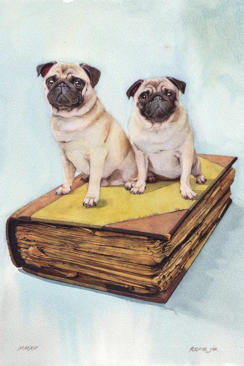 Pugs On Old Book