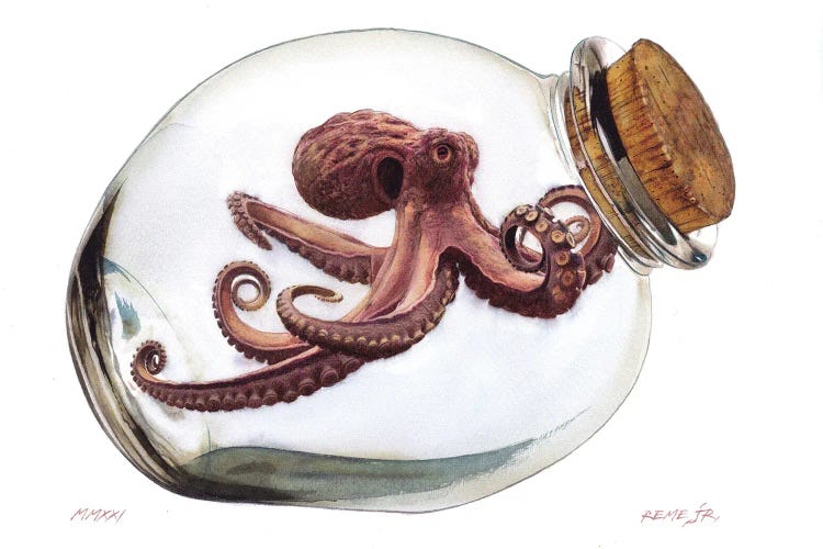 Octopus In Bottle II