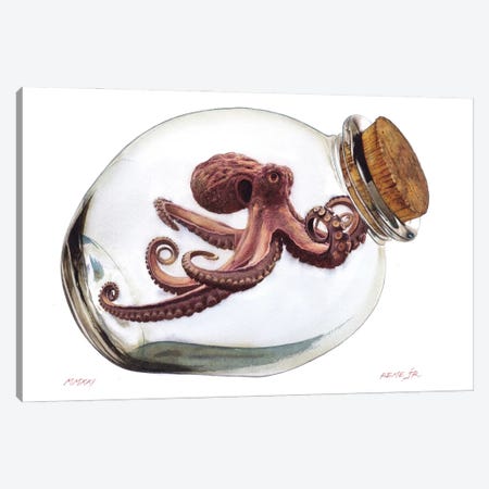 Octopus In Bottle II Canvas Print #RJR27} by REME Jr Canvas Art
